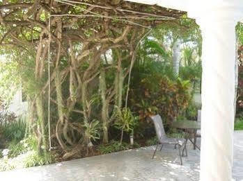 Baldwin'S Guest House Cozumel Esterno foto